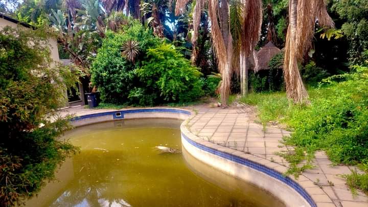 Basse3162Ubong's tweet photo. PHOTOS: Mandela's Mansion Abandoned As Grandchildren Leave Residence Over Unpaid Electricity Bills

The home of a former South African President, Nelson Mandela, where he lived before his demise has been abandoned. 

According to a South African journalist. https://t.co/lAN45h0A6d