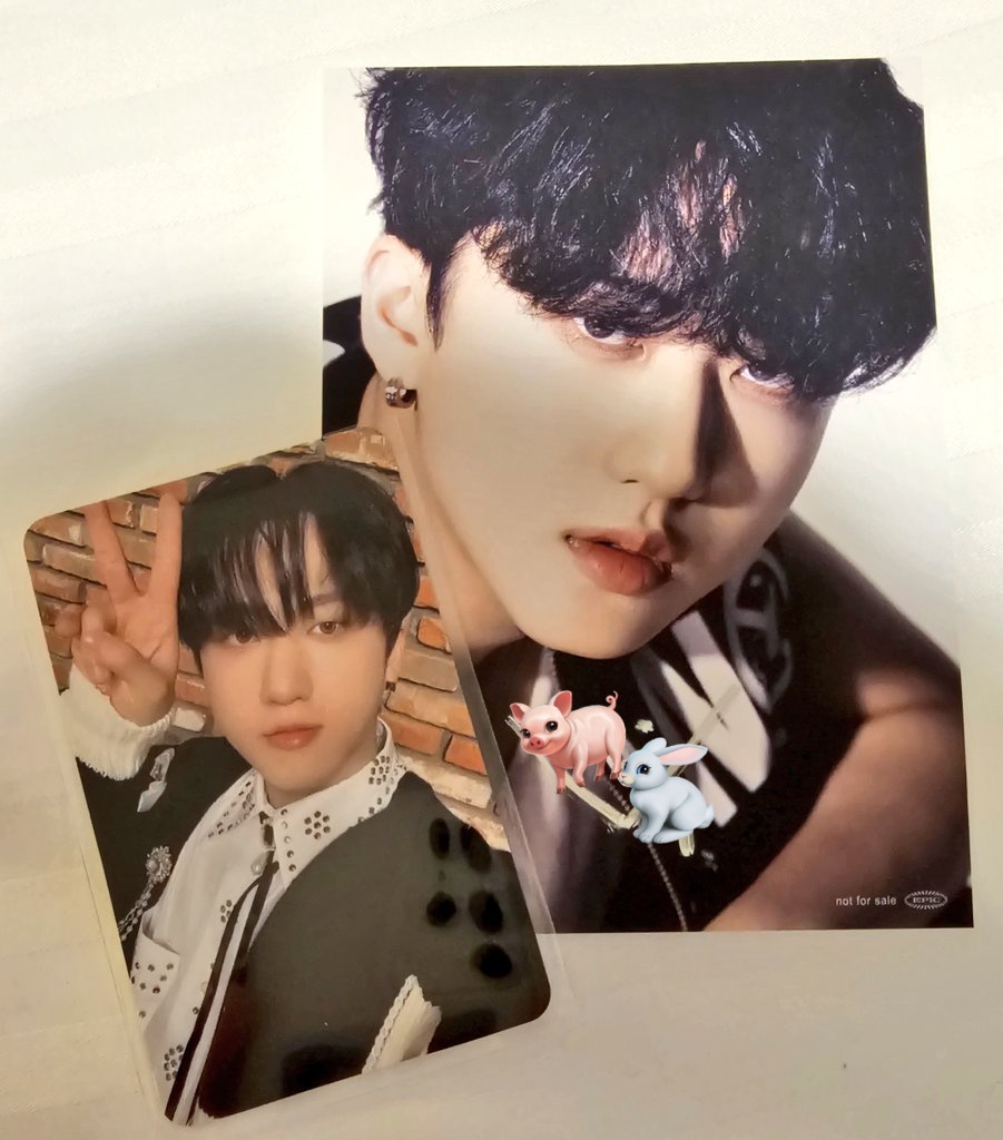 もーこ💪🏻 (@cb_skz_sb): 