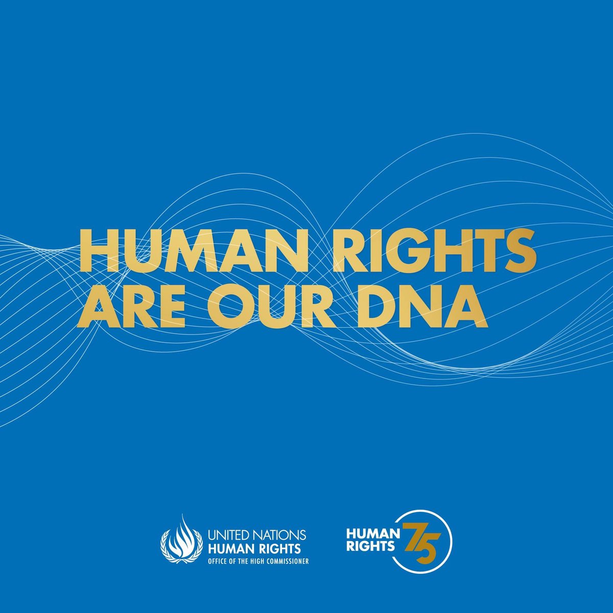 “All human beings are born free and equal in dignity and rights.”
Today on #HumanRightsDay, we celebrate the 75th anniversary of the Universal Declaration of Human Rights. Adopted on 10 December 1948, it is still the foundation for responding to human rights issues we face today.