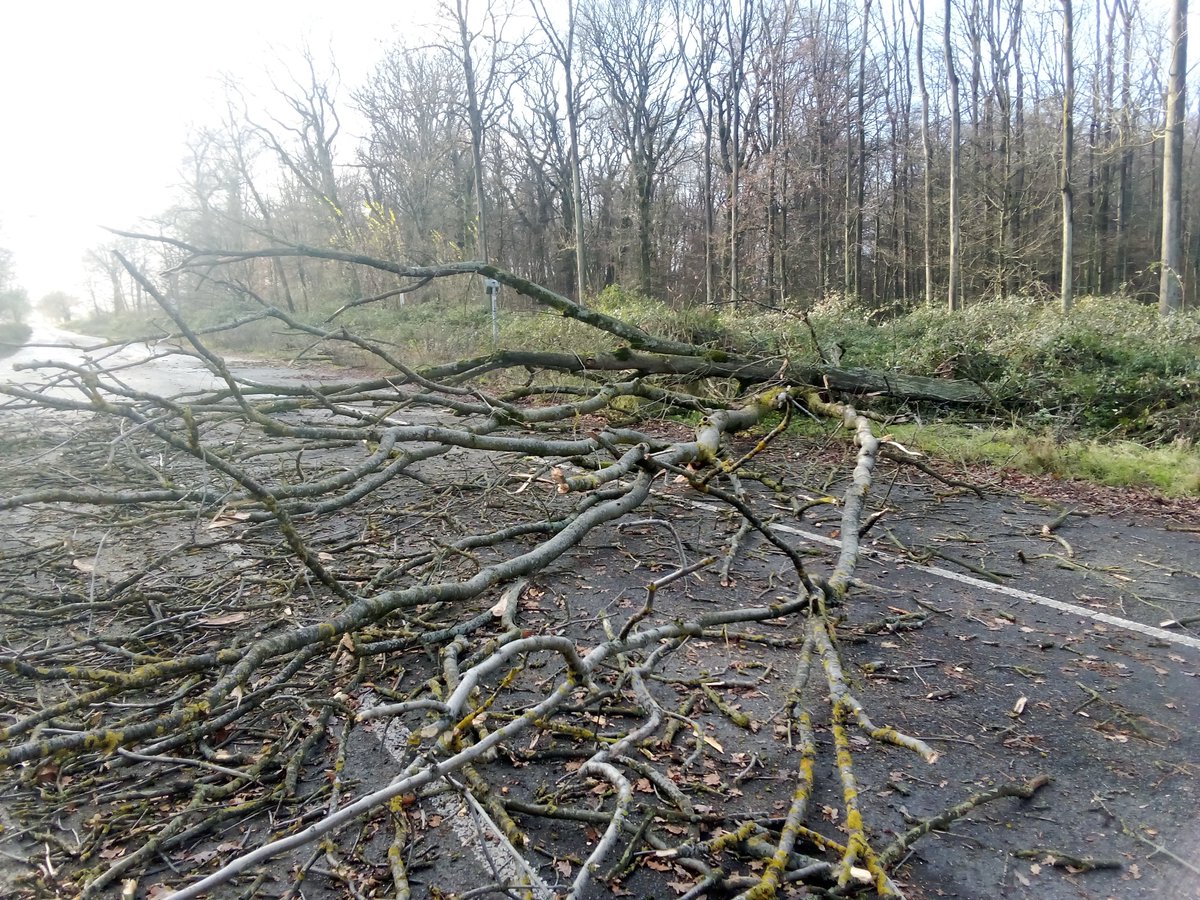 Semjasa666's tweet photo. Der Wald will wohl seine Barrikaden zurück https://t.co/1n7nD5cdDK