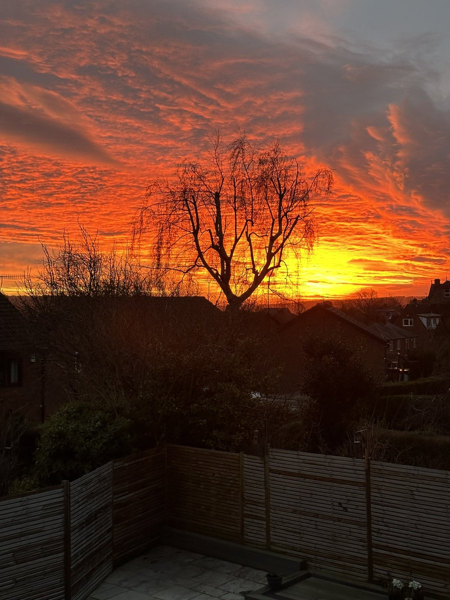 Jason Siddall tweet media