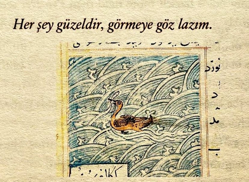 melinastro's tweet photo. Bakmak ve görmek farklıdır, görmeye göz lazım https://t.co/E69JQrMxvI