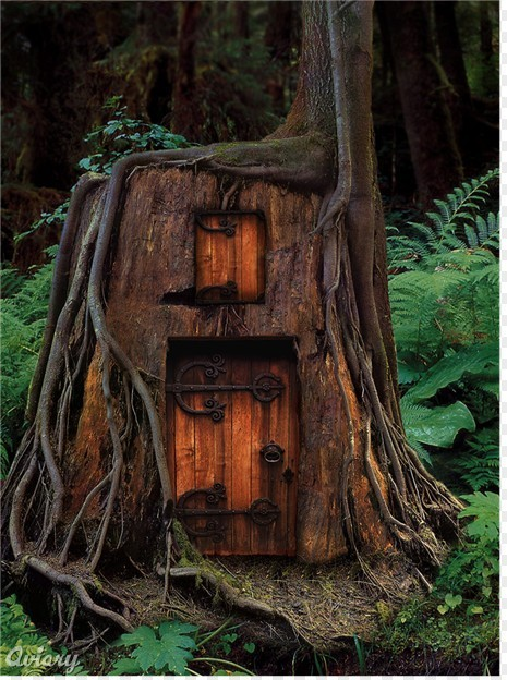 Tree House, Humboldt County, California #TreeHouse #HumboldtCounty #California henryhanson.com
