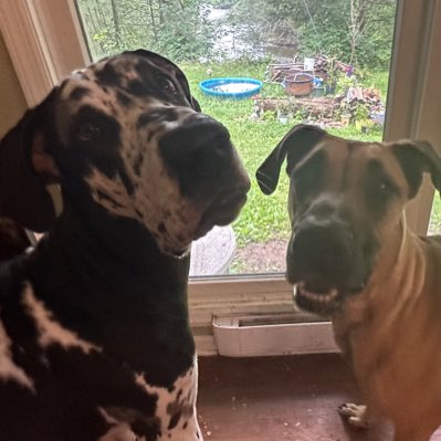 EileenMHartmann's tweet photo. #NewProfilePic https://t.co/A0IA4FOkvq