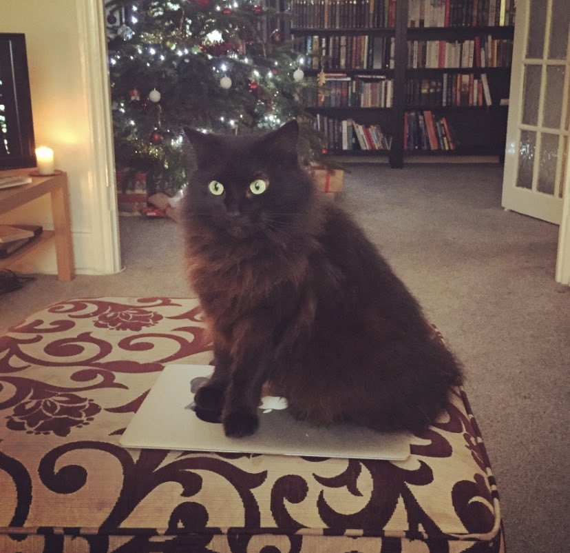 Emily Glenister tweet media