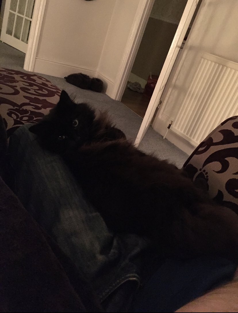 Emily Glenister tweet media