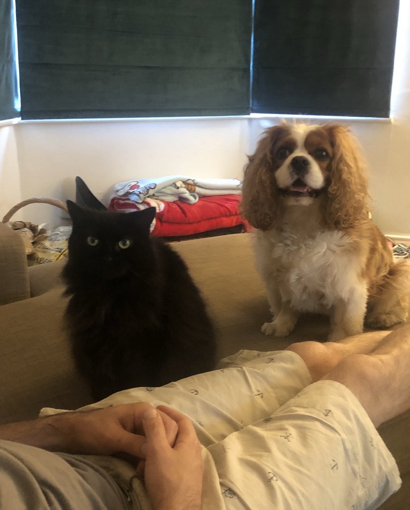 Emily Glenister tweet media