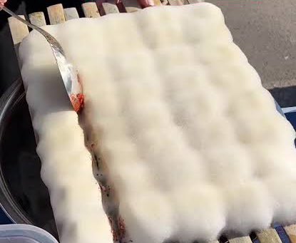 เอสป้าเป็นราเต้าหู้