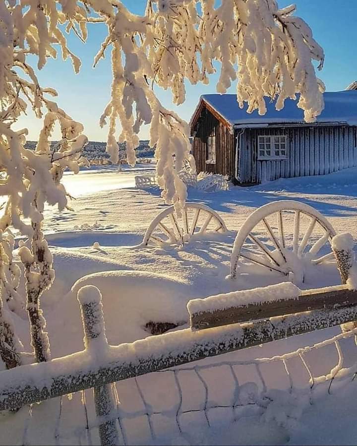 ❄ 𝑯𝑨𝑷𝑷𝒀 𝑺𝑼𝑵𝑫𝑨𝒀 ❄💙❄
#naturelovers #nature #NatureBeauty