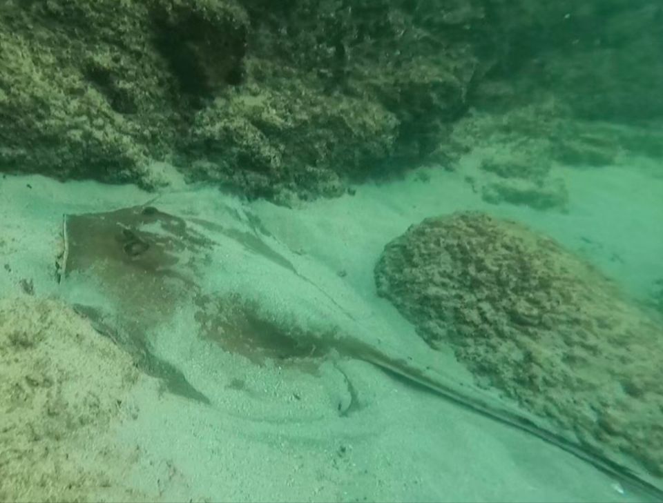 biaural cataleptoid
Tôi muốn tìm một người bạn cùng sở thích để cùng nhau khám phá những món ăn đường phố ngon lành và tận hưởng hương vị độc đáo.