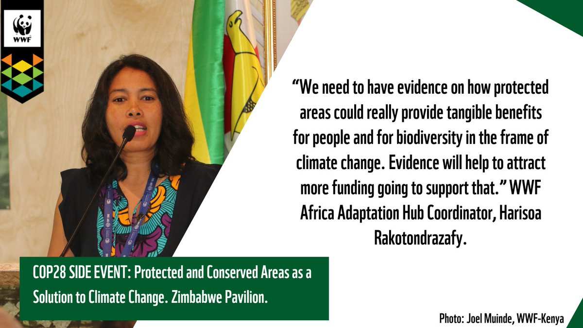 WWF Africa Adaptation Hub (AAH) tweet media