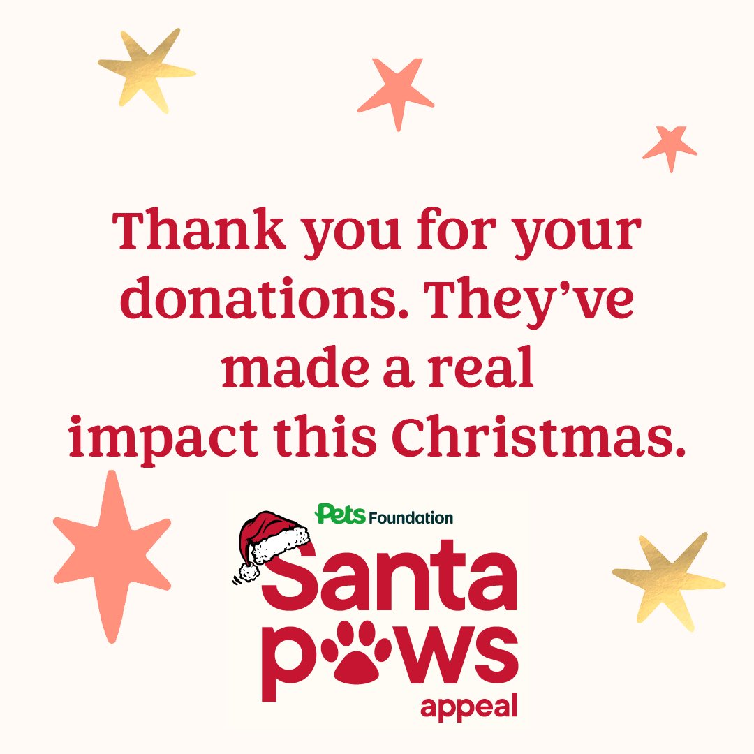 Today volunteers will be holding a Mrs Claus Grotto for dogs at Pets at Home, Upper Boat, Pontypridd as part of the Santa Paws Appeal