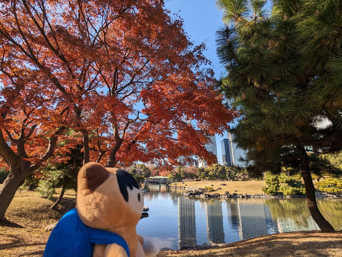 yodroid1's tweet photo. ๆต้ขๅฎฎๅบญๅ #WheresAstro https://t.co/TNcS9EkXEL