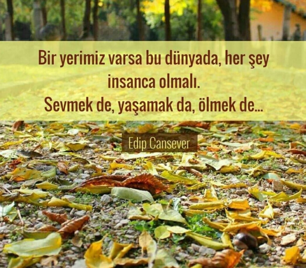 8.9.1999 dan sonra çalışma hayatına başladığı için 
YOK SAYILAN  herkese mutlu pazarlar
#DünyaİnsanHaklarıGünü 
#KademeAnayasalHakkımızdır 
#pazar #KöpekTerörü #SPDbpt23  #BüyükFilistinYürüyüşü Anthony Rıza Davis Muhammed Emin Yıldırım Cenk Bailly Tayfur Crespo Necip Haney Lakers