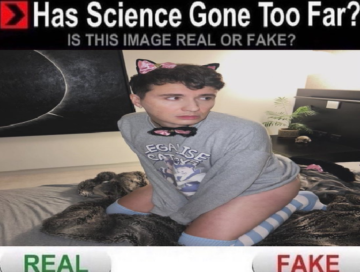 flwrphil's tweet photo. i forgot i made this, anyways, #spaydanhowell https://t.co/kAr10t0anO