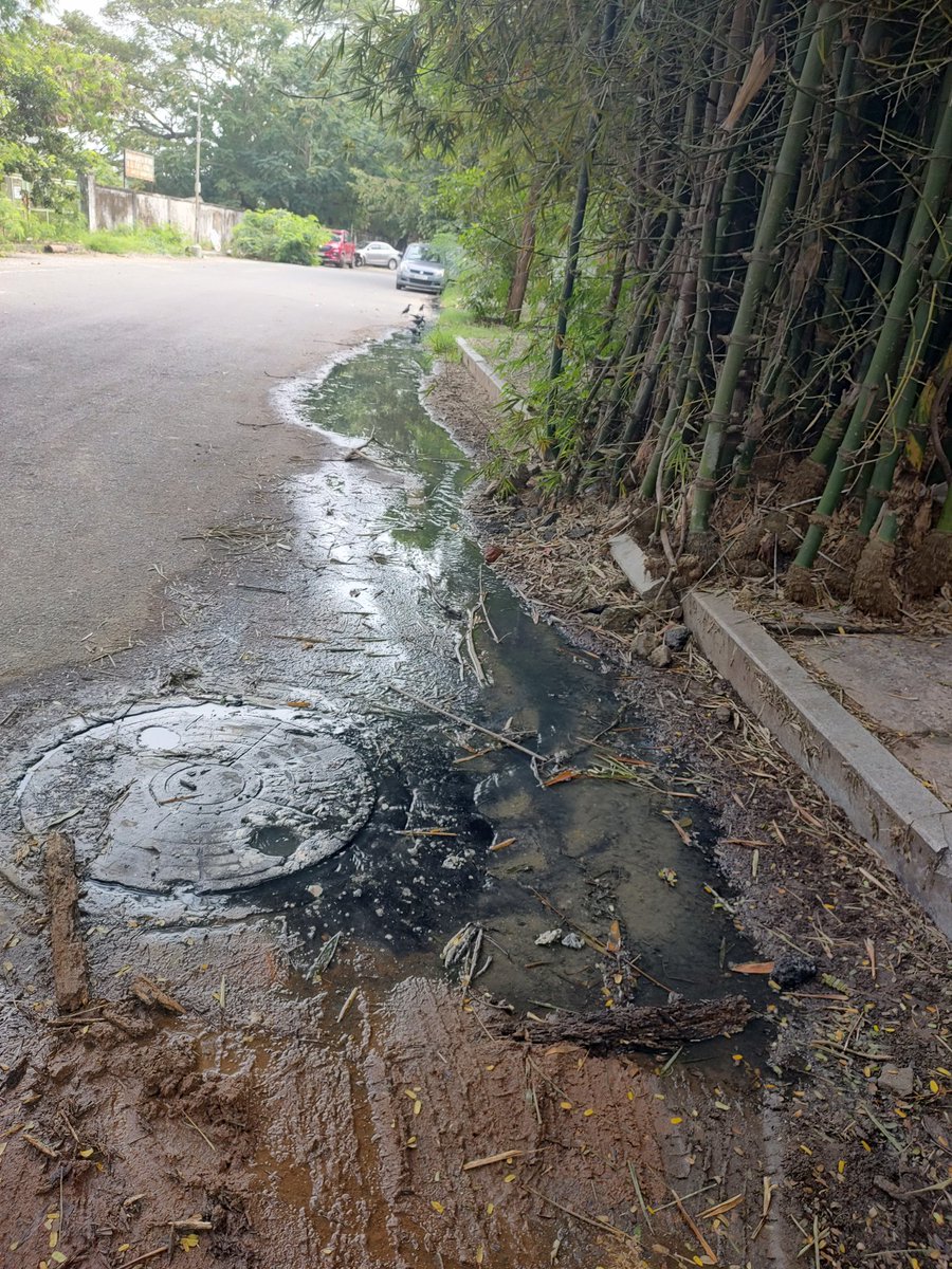 Vinay Kamath tweet media