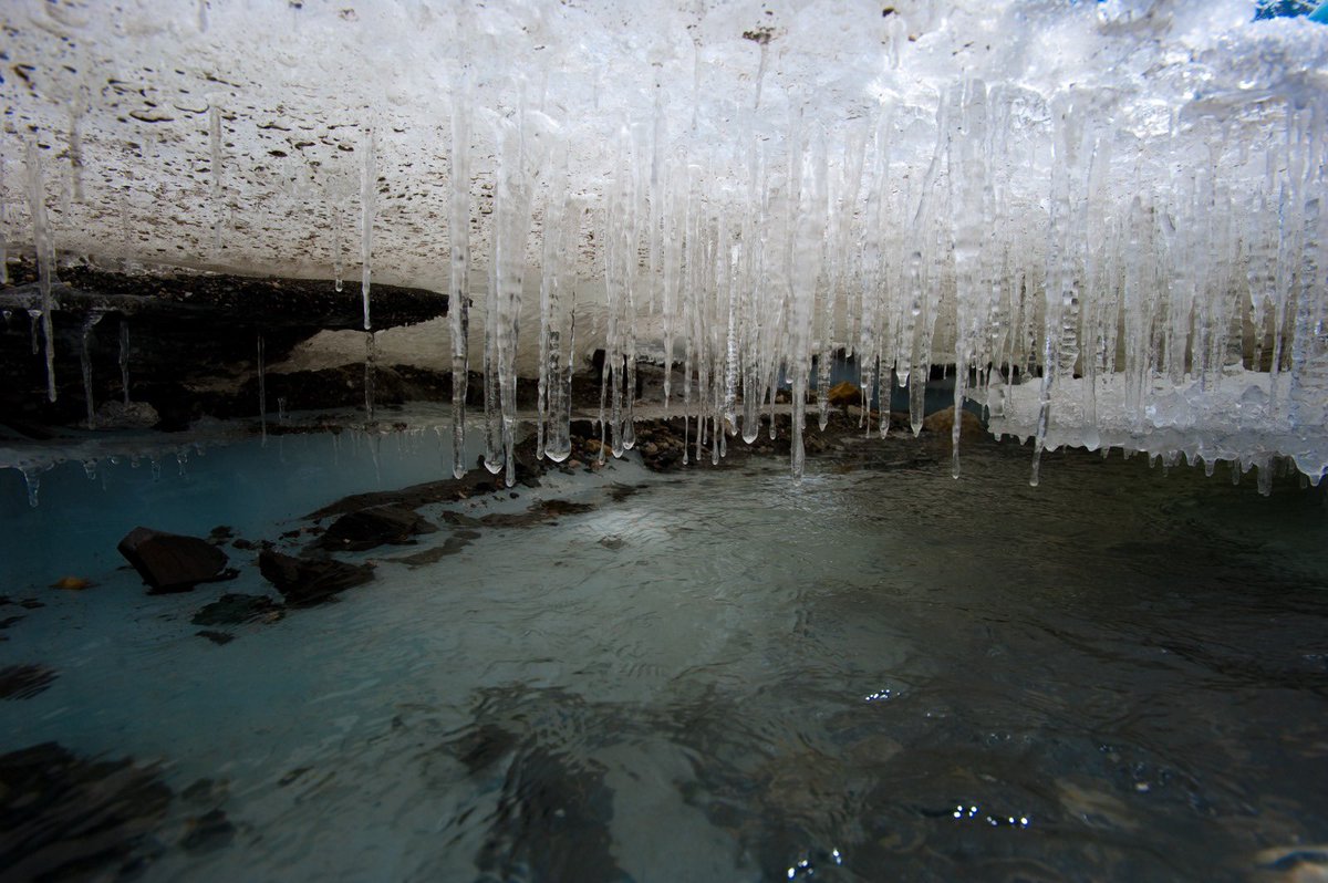 Sushmita Kunwar tweet media