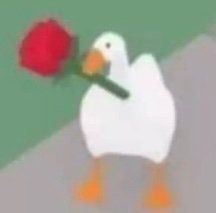 Rafe T. Lee tweet media