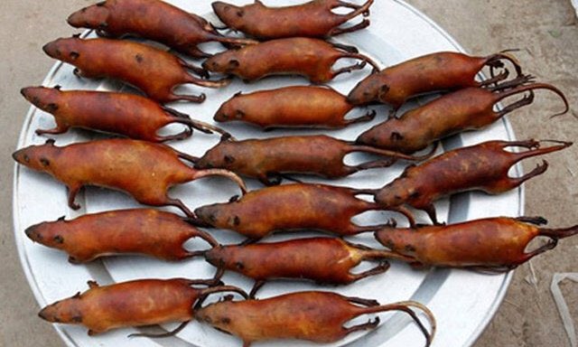 Bạn có dám thưởng thức món này không ?