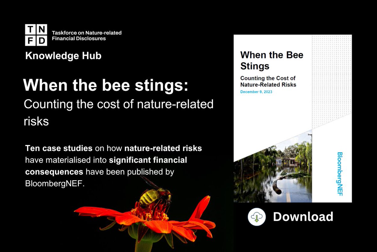 TNFD_'s tweet photo. 📉Stock prices hit, senior executives stood down,  credit ratings downgraded, &amp; assets written off. 

@BloombergNEF publish 10 case studies showing the financial consequences of nautre-related risks

🔽 Full report 🔽
https://t.co/A3SI2gmvyh

🔽 Blog 🔽
https://t.co/1YiJhUVyPZ https://t.co/KNQppgI9Gs
