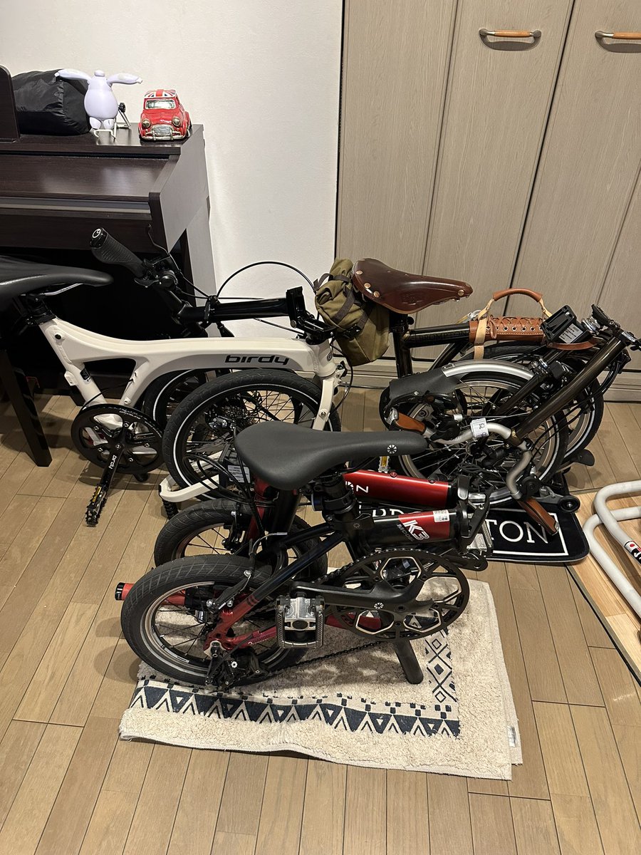 青猿(スペゴリともいう) tweet media