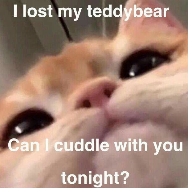 𝐃𝐈𝐀𝐍𝐀. tweet media