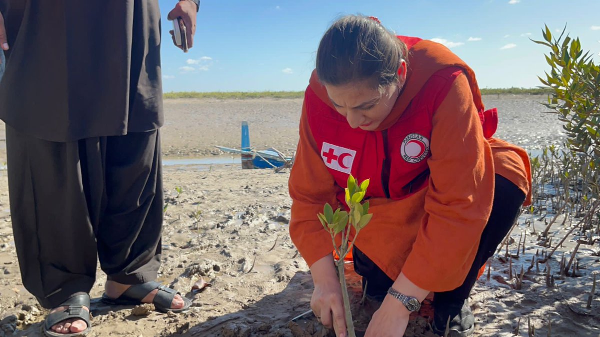 prcsindh's tweet image. Pakistan Red Crescent Society&apos;s Sindh branch conducted a monitoring visit to Badin and Thatta for Climate Smart Disaster Response Management (CSDRM). Irum Ayaz (P.O-CSDRM) and Zainul-Arfain (Livelihood Officer) led the visit to discuss the progress of small grant projects.