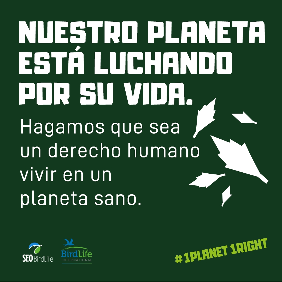 ¡Hoy se cumplen 75 años 🎂 de uno de los compromisos más revolucionarios: la Declaración Universal de los Derechos Humanos #DUDH! Un documento fundamental que debemos recordar y ampliar con el derecho a un medioambiente sano y sostenible.🌍 🙌 #HumanRights75 #1Planet1Right