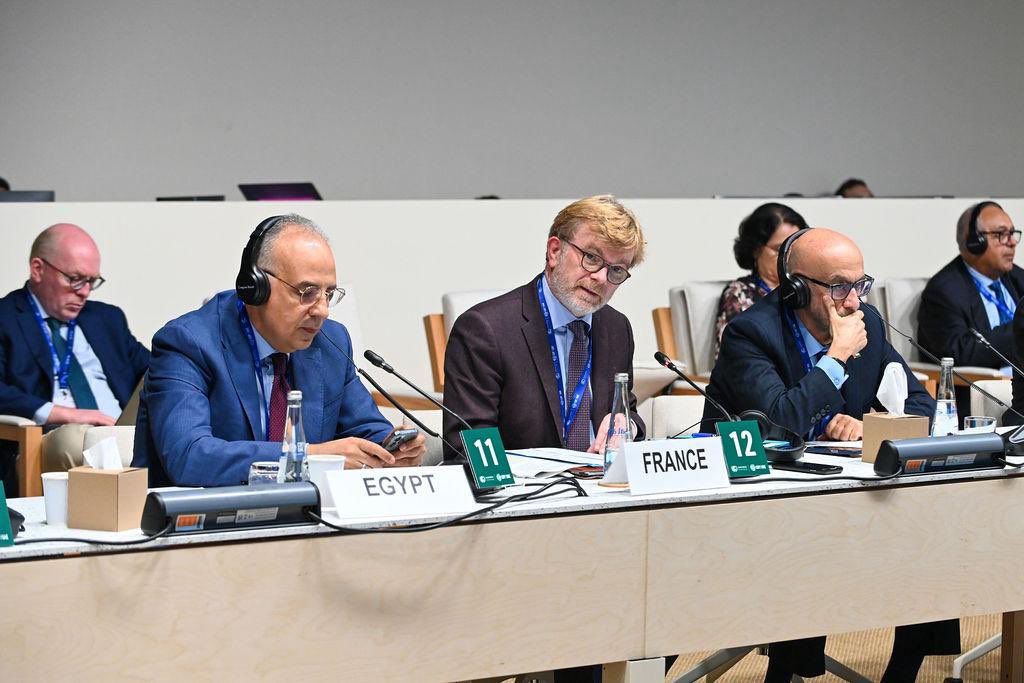 COP28 UAE tweet media