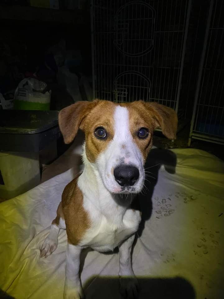 France et 3😻- ✨ Noumie ✨ tweet media