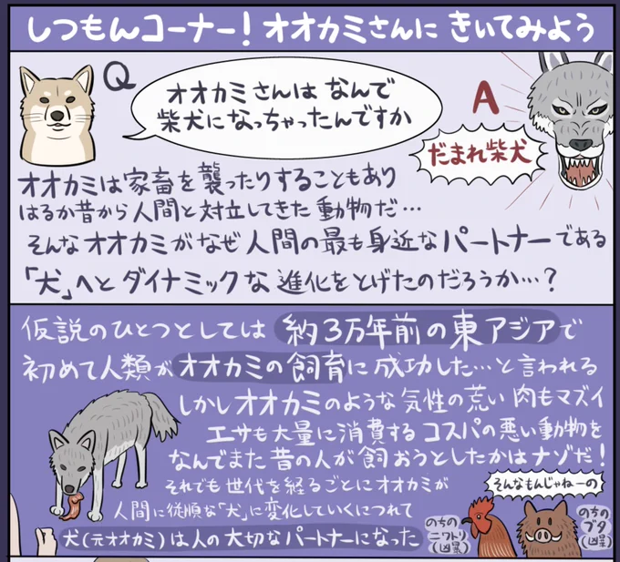 私、普段は別に犬派というほどでもない(飼ってもないし)のだが、著作のほとんどに犬とオオカミの話が必ず出てくるので、犬とオオカミという存在がセットで好きなのかもしれない