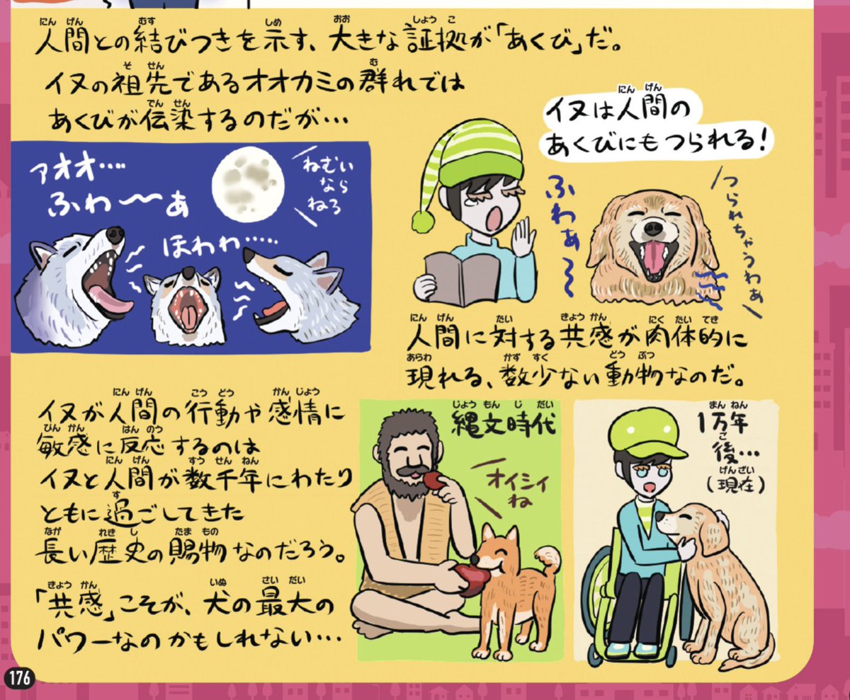 私、普段は別に犬派というほどでもない(飼ってもないし)のだが、著作のほとんどに犬とオオカミの話が必ず出てくるので、犬とオオカミという存在がセットで好きなのかもしれない