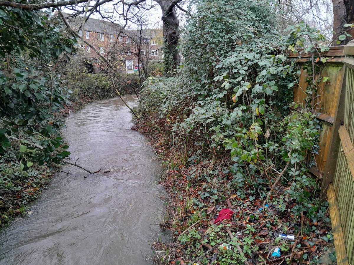 SueWallsgrove's tweet photo. #Environmentagency #southernwater raw sewage pouring into the rife system Barnham West Sussex, pollution incident https://t.co/qcVfwhYZSy