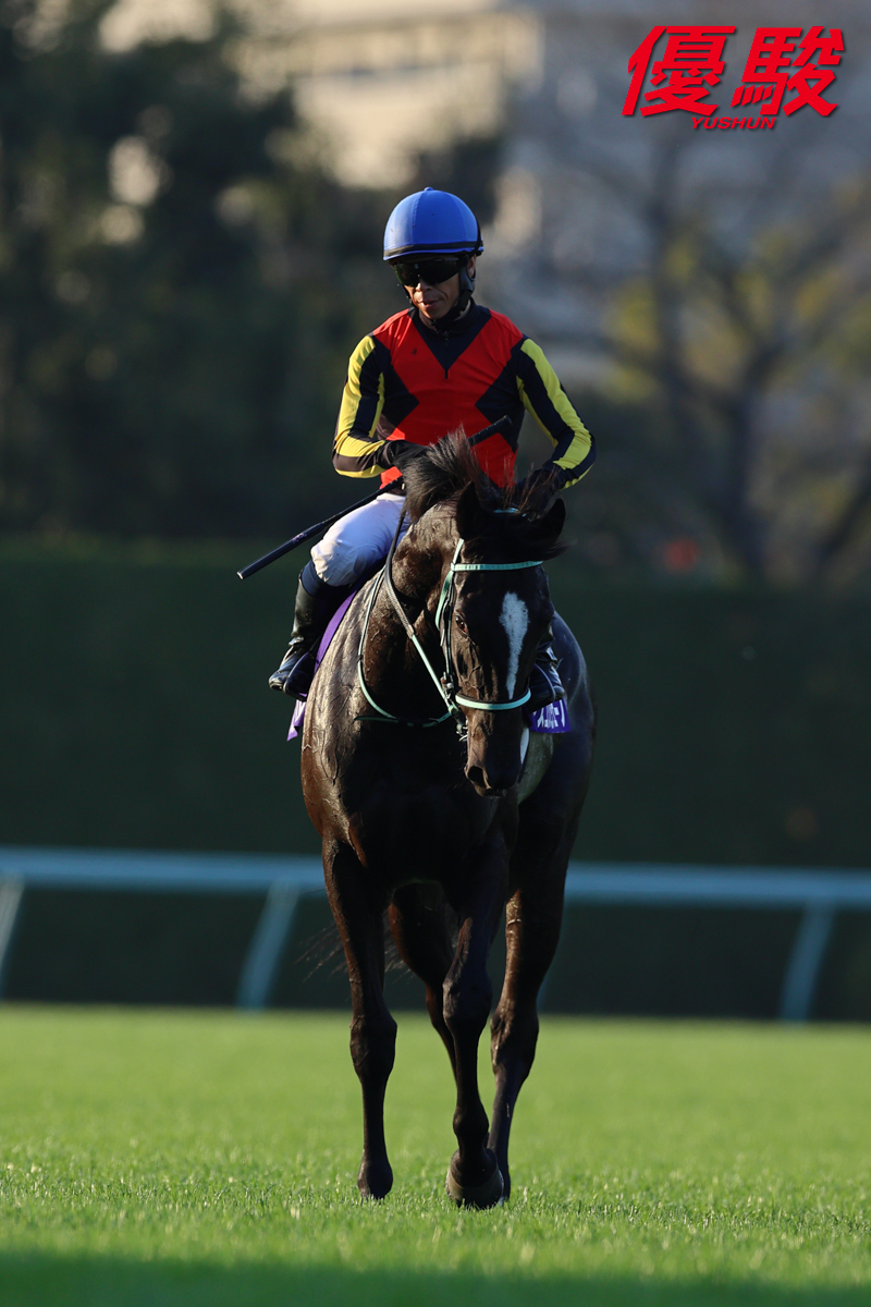 競馬 アンブローニュ3歳未勝利戦優勝時実使用ゼッケン 北村宏司騎手両面サイン入り RT @YUSHUN_Magazine: #北村宏司 騎手は2015年菊花賞(キタサンブラック