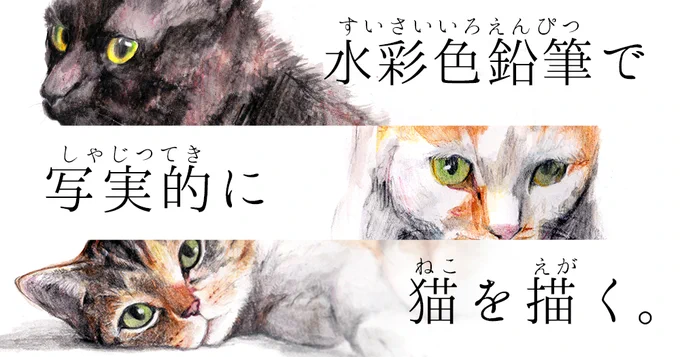 note更新しました!  水彩色鉛筆で写実的に猫を描く。|もじゃクッキー #note #メイキング 