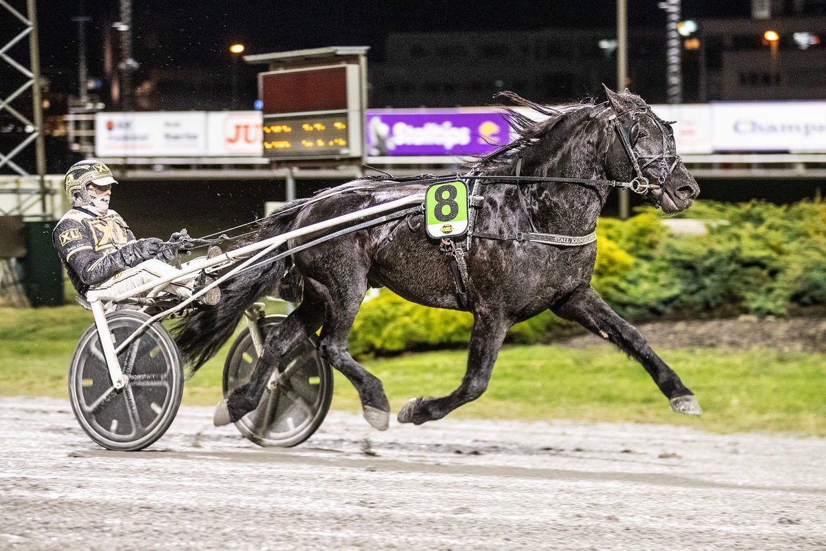 Trav_sangeren's tweet photo. Balder Odin fikser ny V75 seier. Helt overlegen i Adolf Idsøes Æresløp på Forus. Takk til @jkeriksen og Leni for jobben dere legger ned i kongen vår 🤩🥇🐴 for et eventyr denne hesten tar oss med på ❤️ #RacingLover https://t.co/yXUjaCxHtL