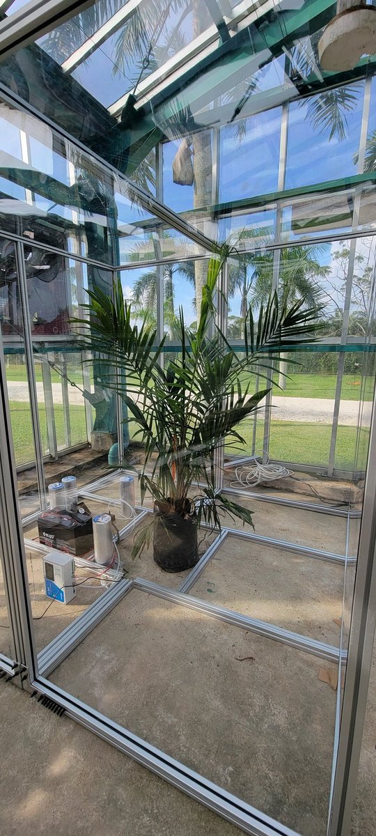 VezyRemi's tweet image. Finally building the second prototype of our automatic flux chamber, this time in Indonesia. These are the very first tests with a young palm to see how much time is needed for getting a CO2/H2O signal. @raphaelpaperez @mduthoit1
