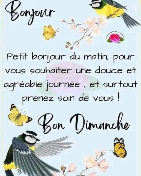 ben_madjda's tweet photo. #bonjour #bonnejournee #matin #positivement @amelfaradji @LdOptimistes #hiver #nature https://t.co/aCJJVsim4d
