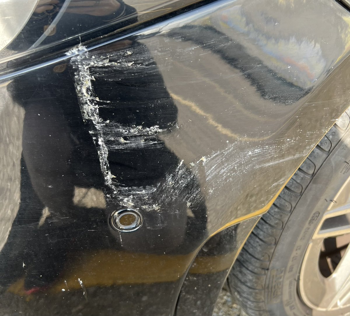 arabamda kus bokuyla E yaziyor yaaa allaaam.. bu nasi olabilir?! camda besledigim kuslar tesekkur ettiler heralde kendi imkanlariyla 🥲