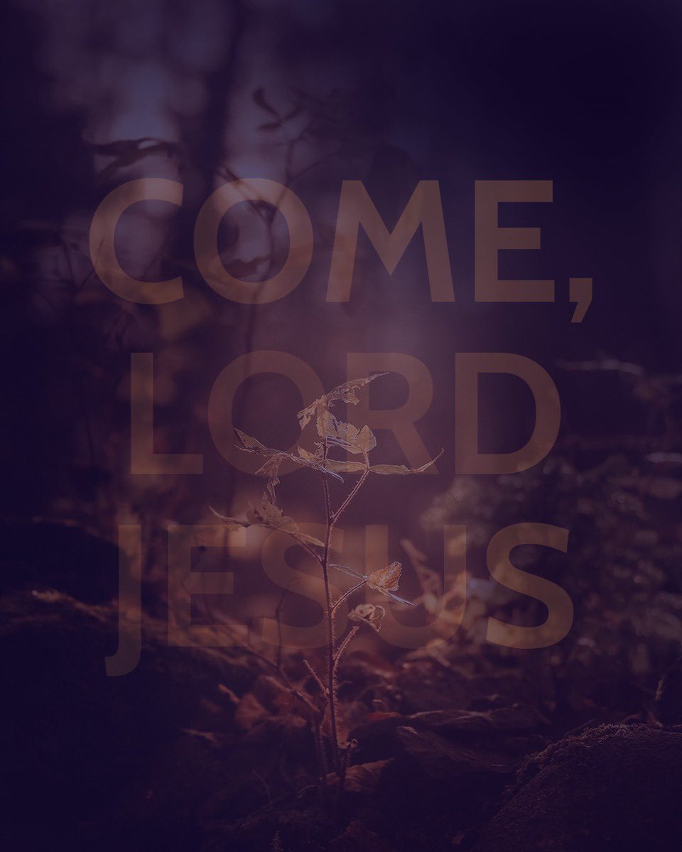 We often talk of Christmas as a time of hope fulfilled. In the birth of Christ, as the famous carol goes, ‘the hope and fears of all the years are met in thee tonight.’   

But Advent is the time before that hope is fulfilled – the time when our hopes have not yet been answered,