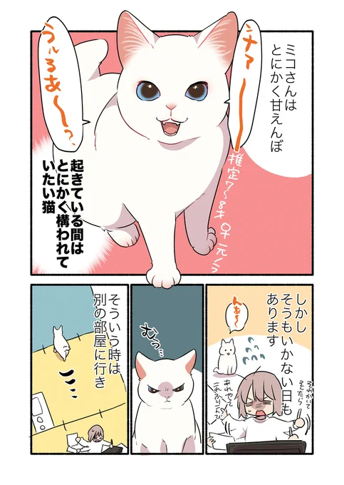 甘えんぼ猫が甘えられない時の話(1/2)  #漫画が読めるハッシュタグ #愛されたがりの白猫ミコさん