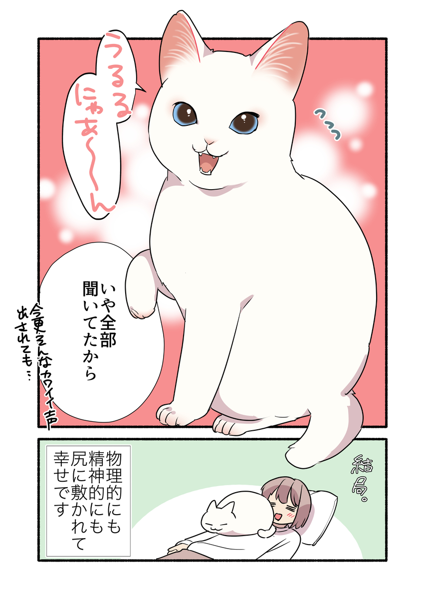 甘えんぼ猫が甘えられない時の話(2/2) #漫画が読めるハッシュタグ #愛されたがりの白猫ミコさん