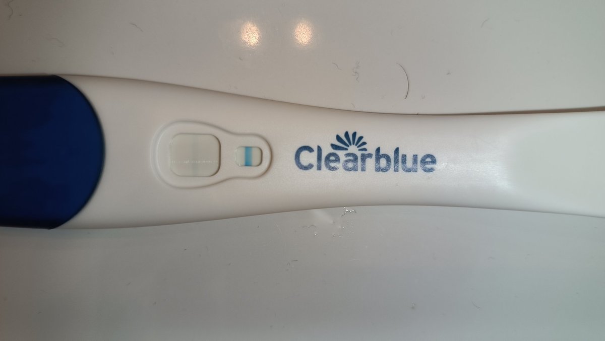 Sin hijos y a lo locA tweet media