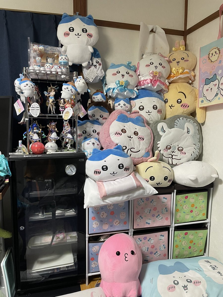 tapaona_py's tweet photo. ハチワレる https://t.co/GJ6lksCN2d