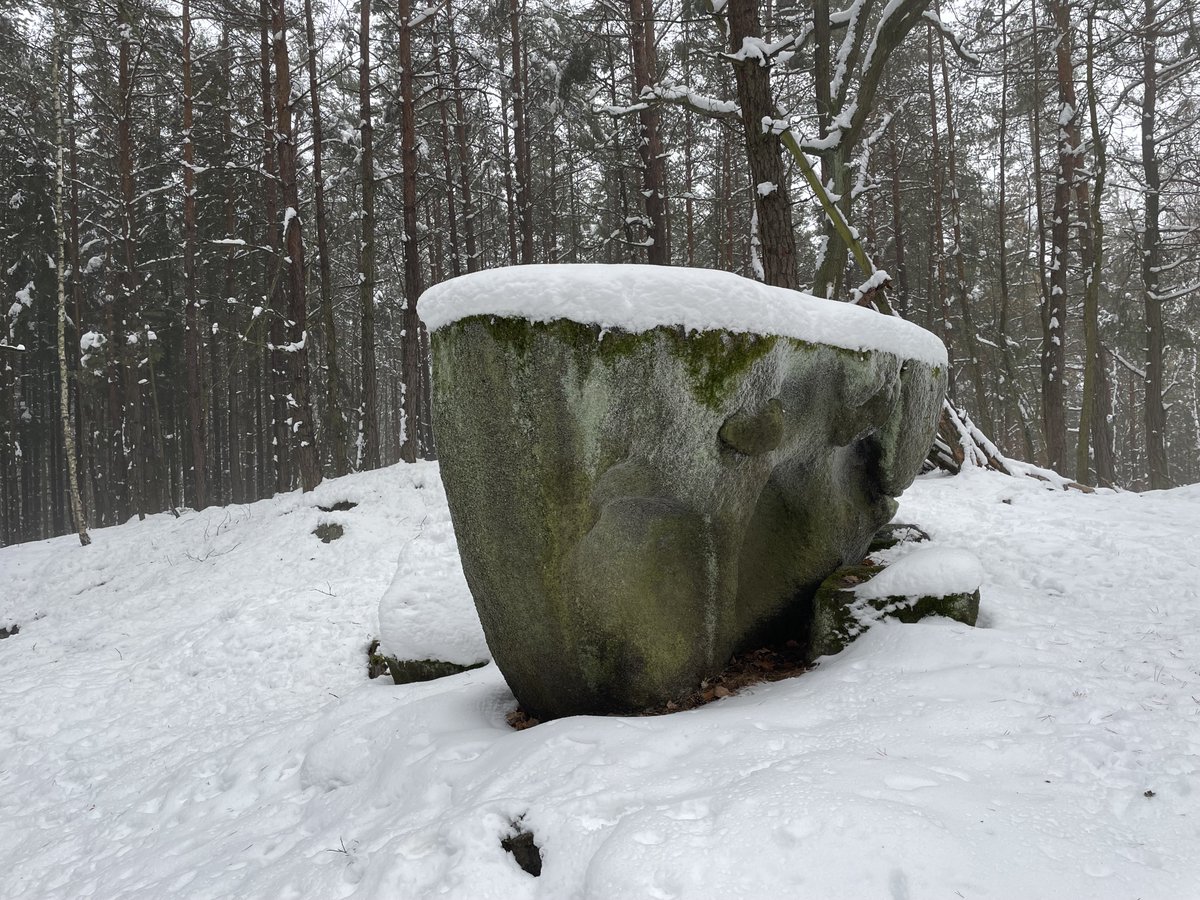 retroturistika's tweet photo. Boží kámen - balvan granitu jesenického typu se zajímavě erodovaným povrchem, lokalita Krtské skály #balvan #priroda #vylet #turistika #zima #cesko #travel #czechia #trip #winter #snow #stone #nature https://t.co/ne7mtaYrIW