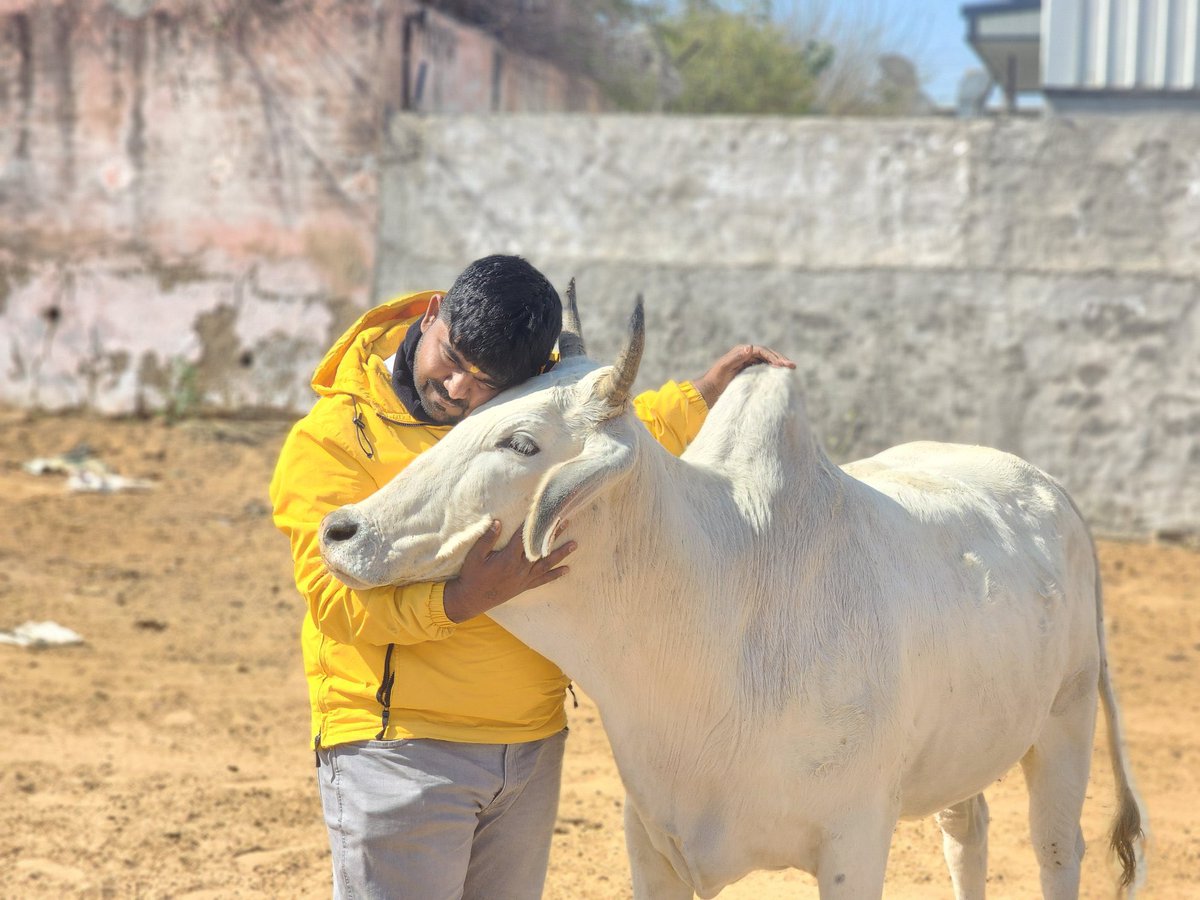 BrandedHindu_'s tweet image. नूपुर शर्मा और मोनू मानेसर को भूल तो नही गए ना हिंदुओ..? 

जो लोग हमारे और आपके लिए धर्म के लिए लड़ कर आज अपनी ज़िंदगी दांव पर लगा कर बैठे है ये लोग।

@NupurSharmaBJP @MonuManesar 

#ISupportNupurSharma 
#ISupportMonuManesar
#ArrestNupurJsharma