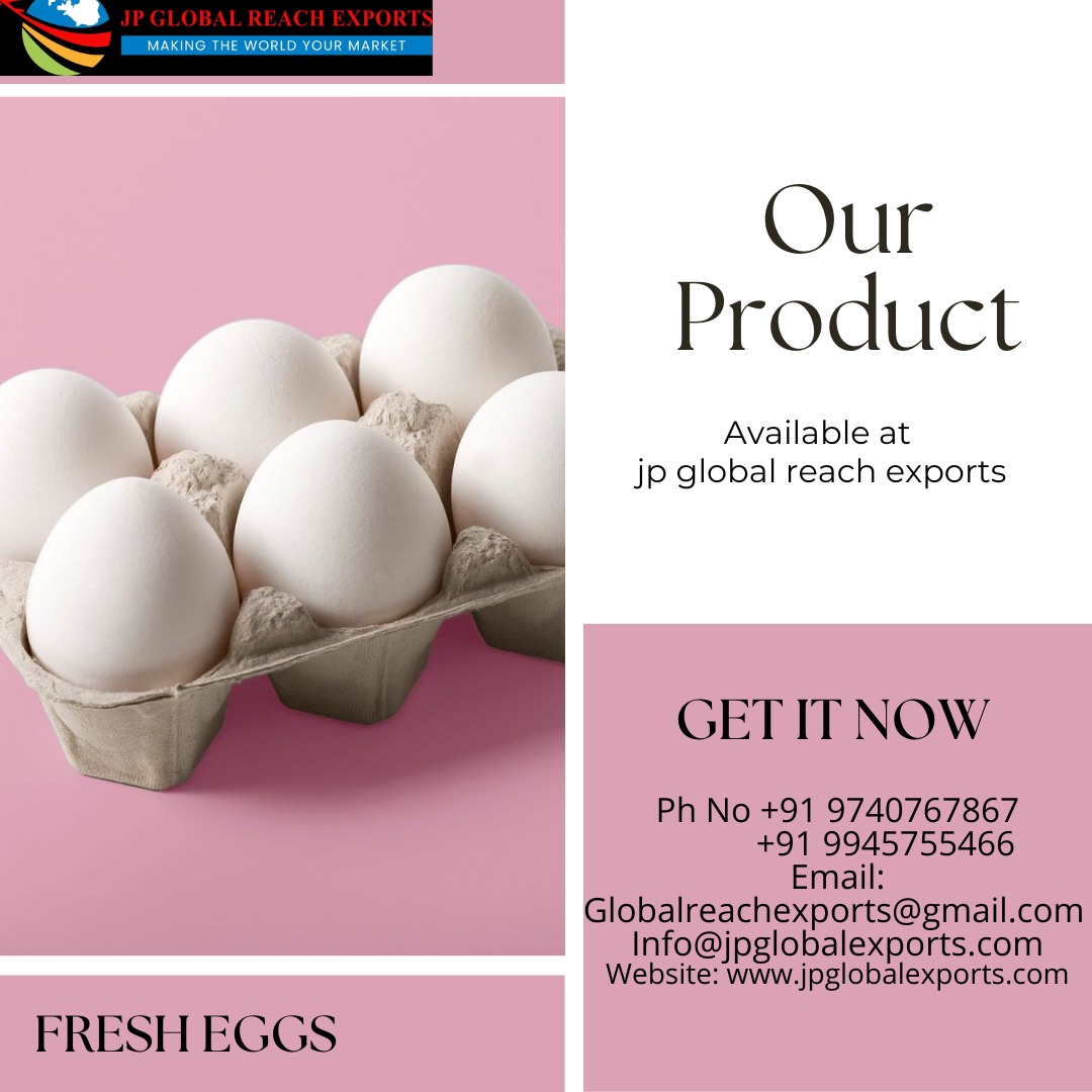 JPGlobalExports's tweet image. Embarking on an eggs-traordinary journey to Bahrain! 🌍✈️ Our latest shipment of farm-fresh eggs is set to make waves in the Middle East. 🥚🌐 Bringing the taste of pure goodness to every corner of the globe. #EggsploreBahrain #FreshnessUnleashed.