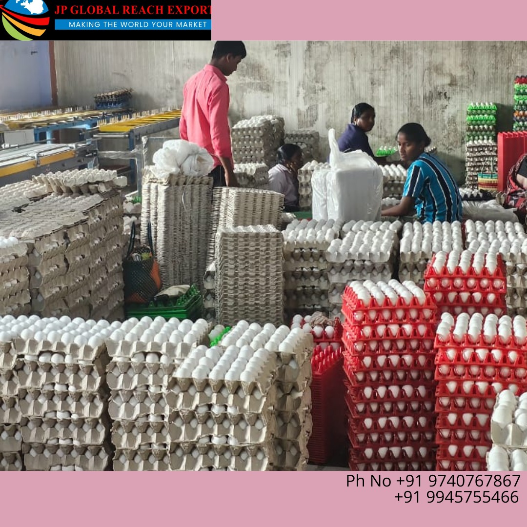 JPGlobalExports's tweet image. Embarking on an eggs-traordinary journey to Bahrain! 🌍✈️ Our latest shipment of farm-fresh eggs is set to make waves in the Middle East. 🥚🌐 Bringing the taste of pure goodness to every corner of the globe. #EggsploreBahrain #FreshnessUnleashed.