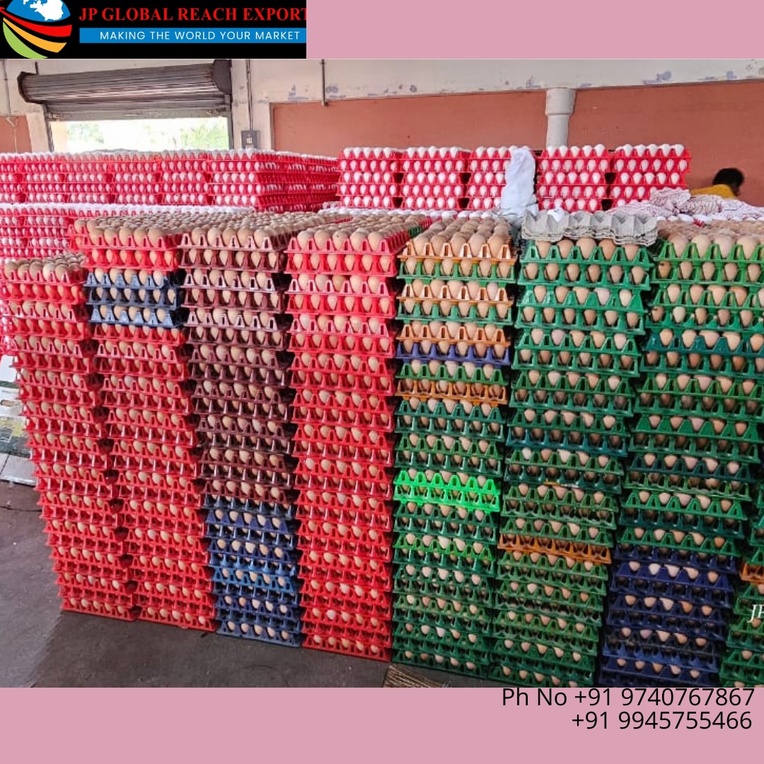 JPGlobalExports's tweet image. Embarking on an eggs-traordinary journey to Bahrain! 🌍✈️ Our latest shipment of farm-fresh eggs is set to make waves in the Middle East. 🥚🌐 Bringing the taste of pure goodness to every corner of the globe. #EggsploreBahrain #FreshnessUnleashed.