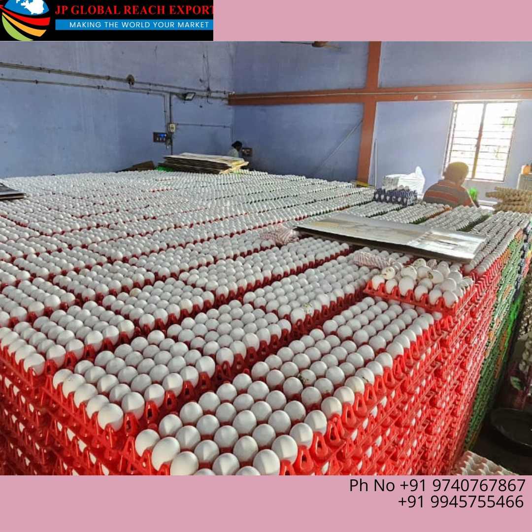 JPGlobalExports's tweet image. Embarking on an eggs-traordinary journey to Bahrain! 🌍✈️ Our latest shipment of farm-fresh eggs is set to make waves in the Middle East. 🥚🌐 Bringing the taste of pure goodness to every corner of the globe. #EggsploreBahrain #FreshnessUnleashed.